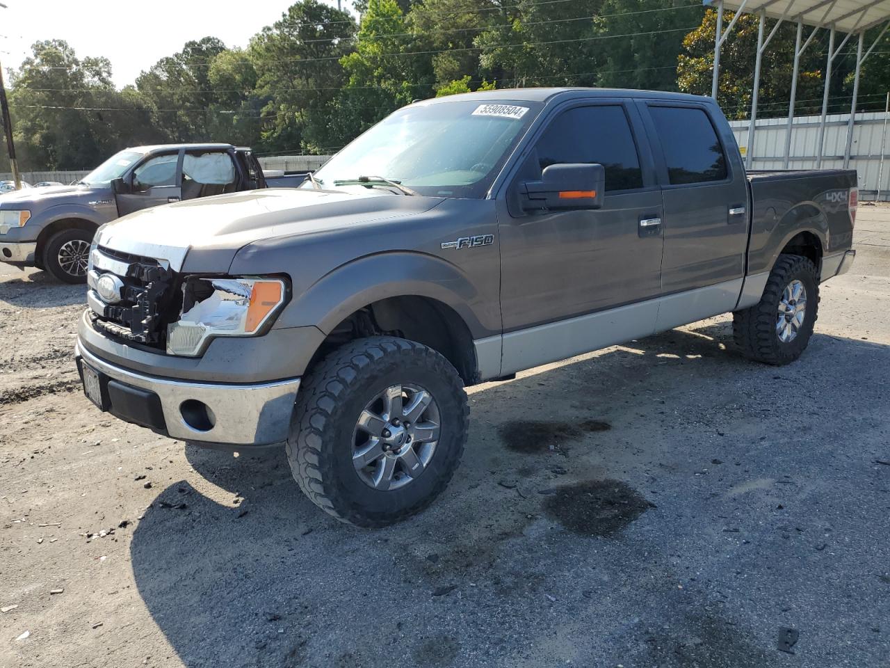 ford f-150 2009 1ftpw14v19fa99480