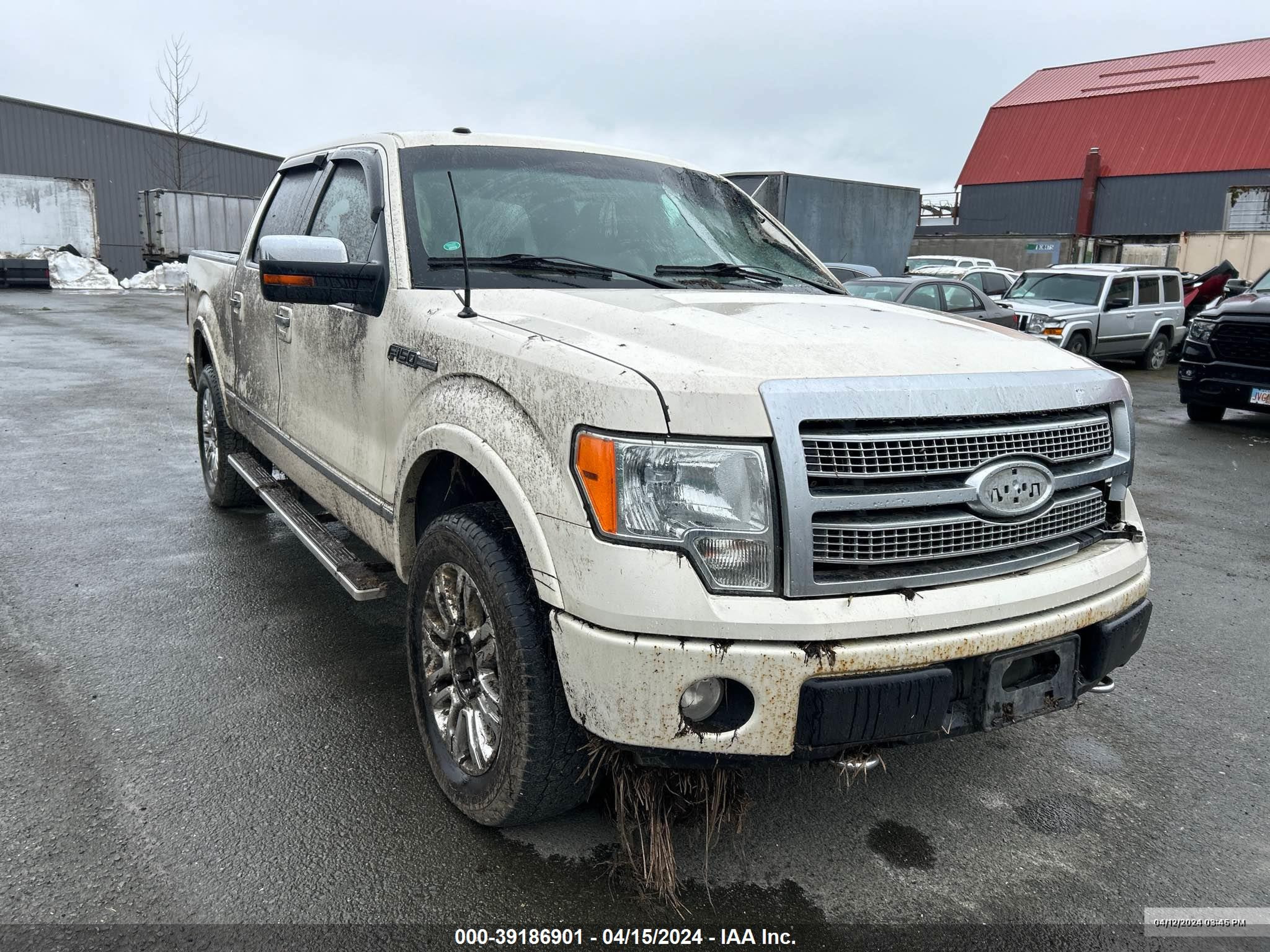 ford f-150 2009 1ftpw14v69fa47486