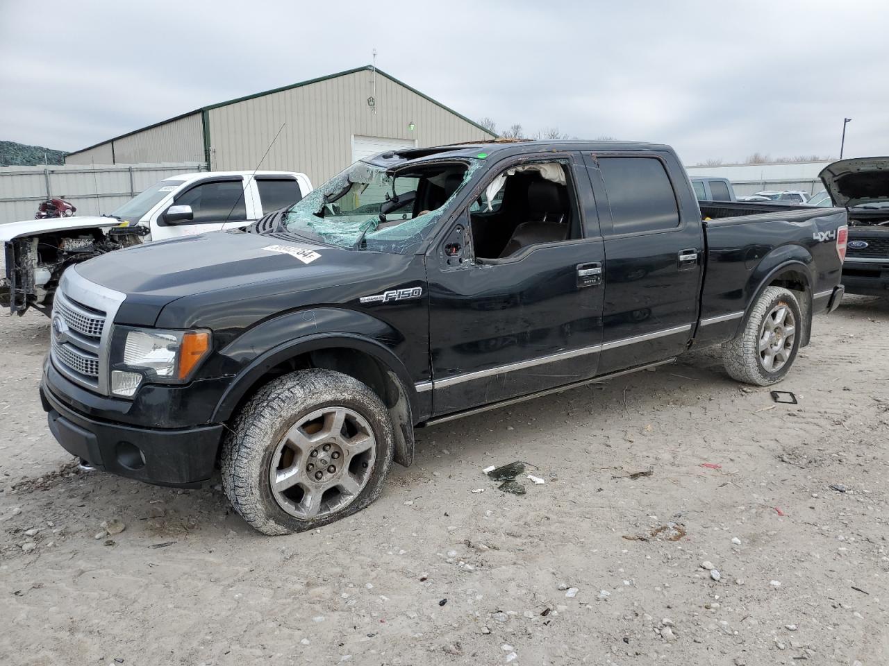 ford f-150 2009 1ftpw14v89fb37562