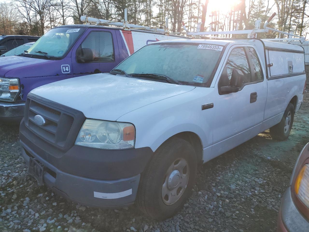 ford f-150 2006 1ftrf12246nb77740