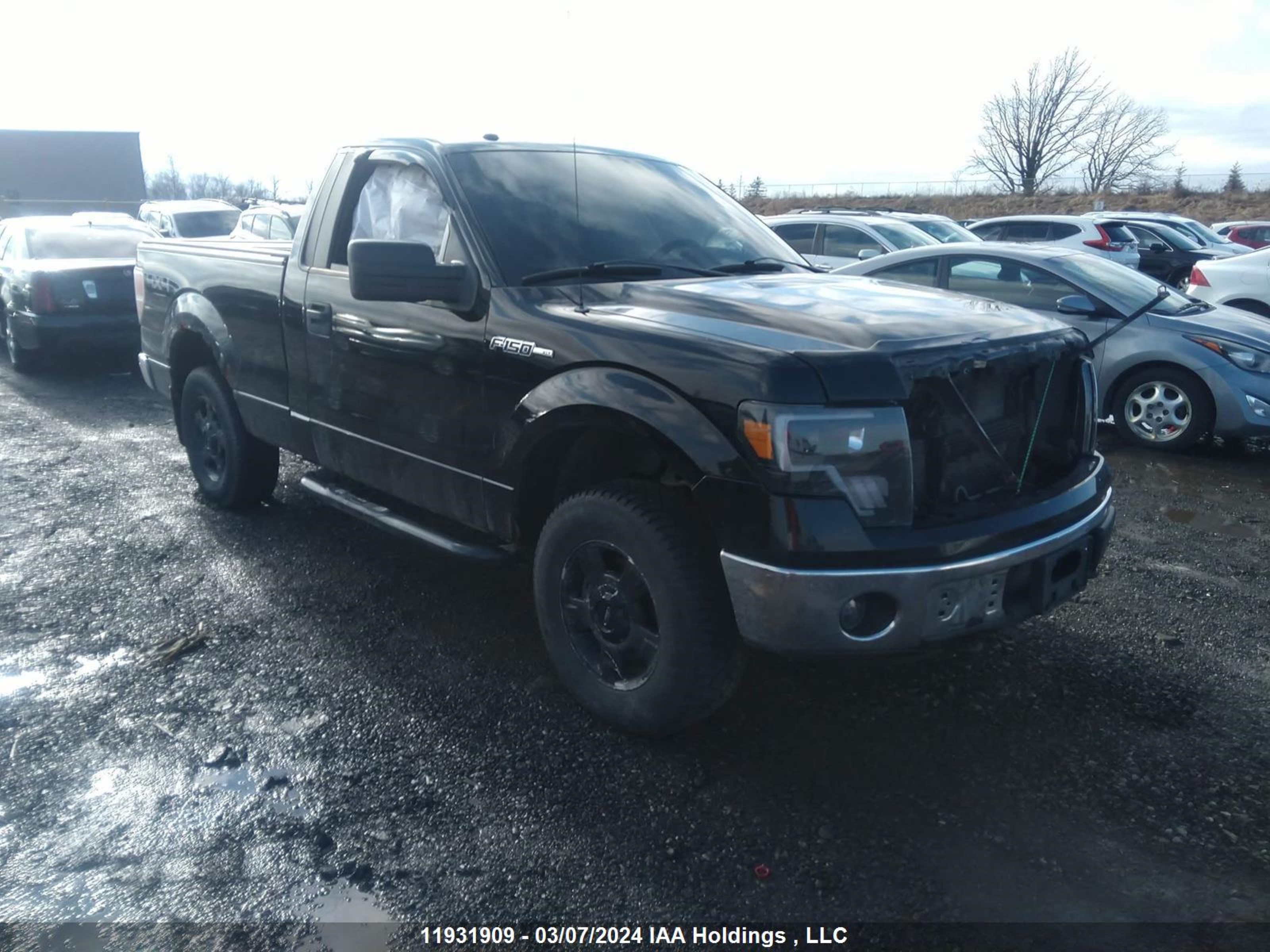 ford f-150 2009 1ftrf14v89kc70211