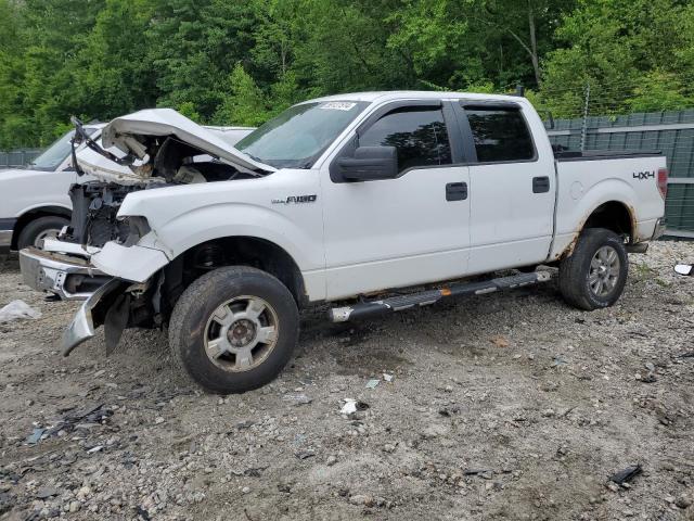 ford f150 super 2009 1ftrw14839fa50459