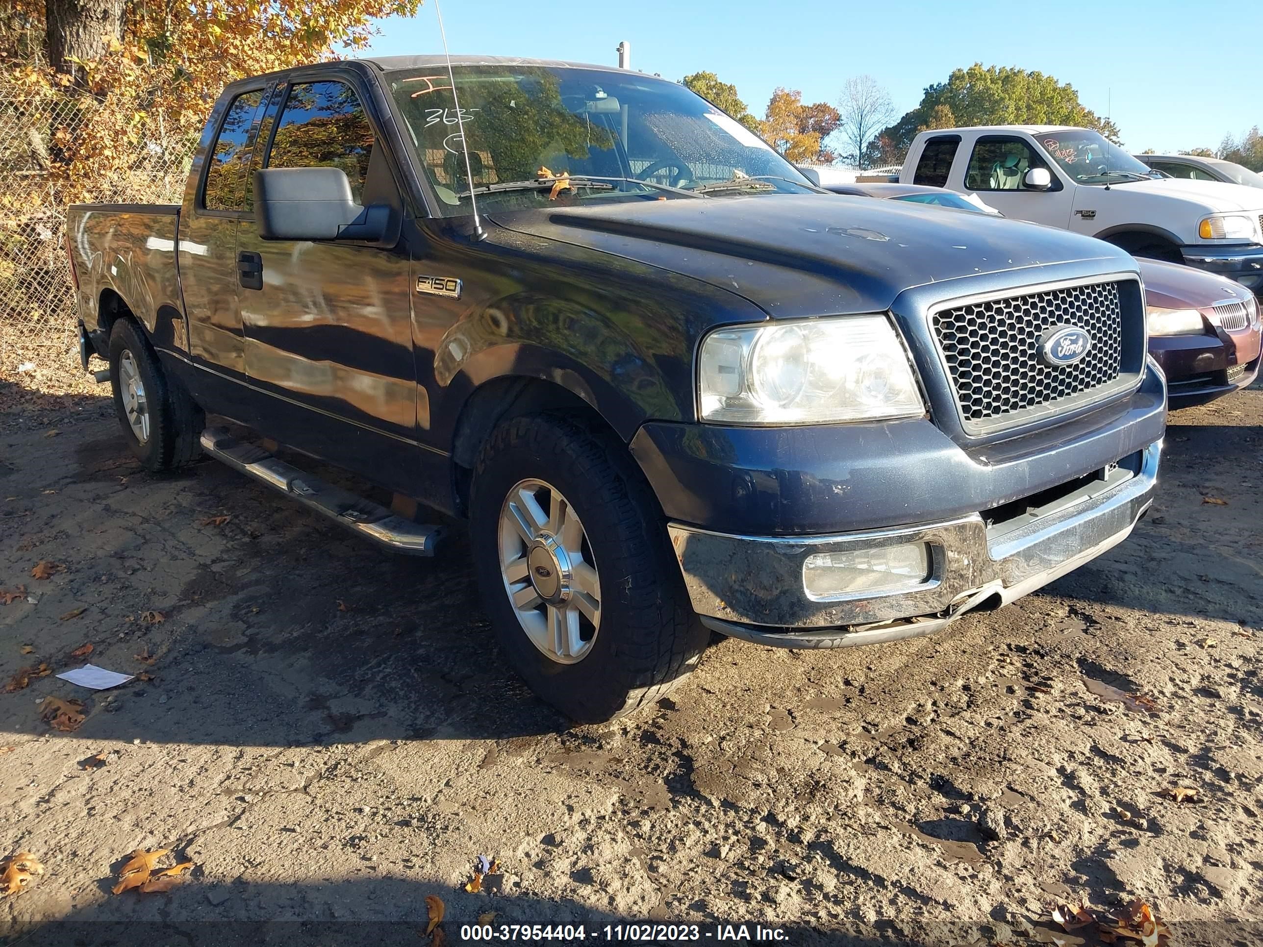 ford f-150 2004 1ftrx12w54na66675