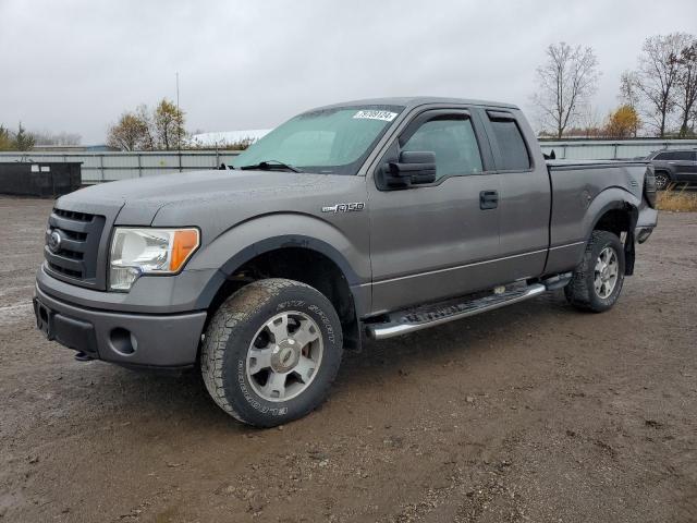 ford f150 super 2009 1ftrx14869fb21117