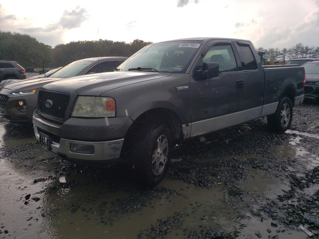 ford f-150 2004 1ftrx14w14nc55370