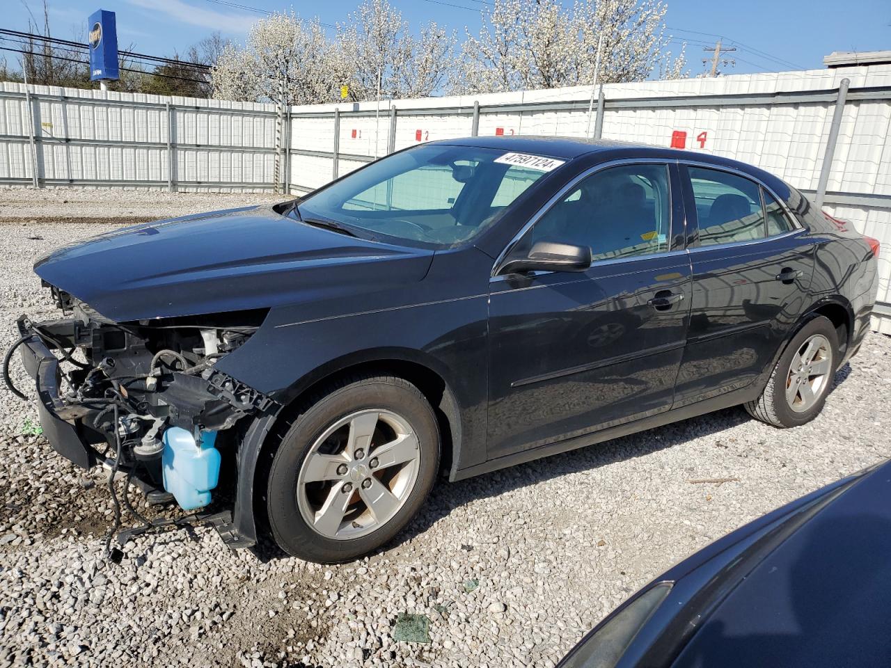 chevrolet malibu 2014 1g11b5sl8ef203668