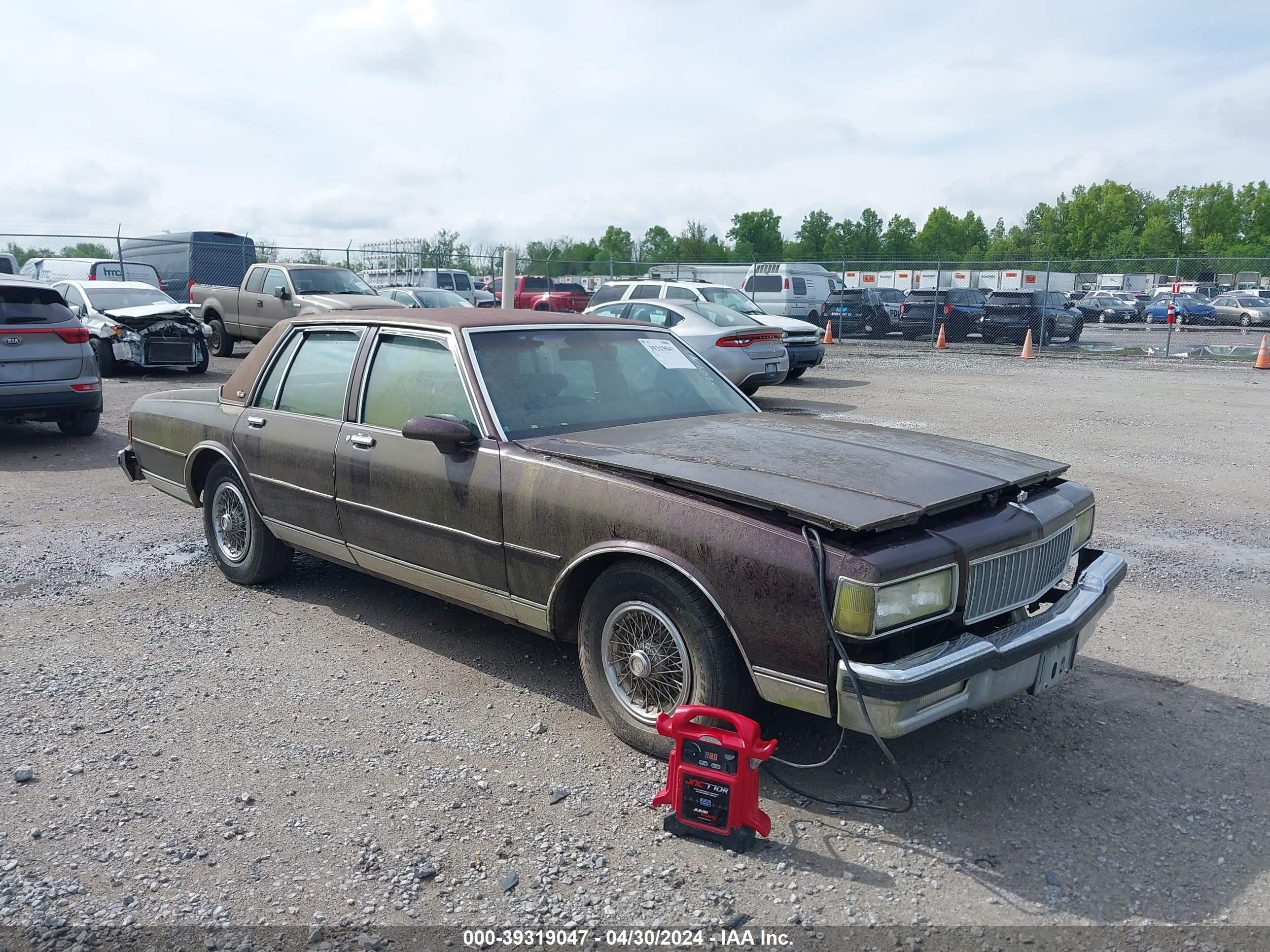 chevrolet caprice 1989 1g1bn51e4kr134650