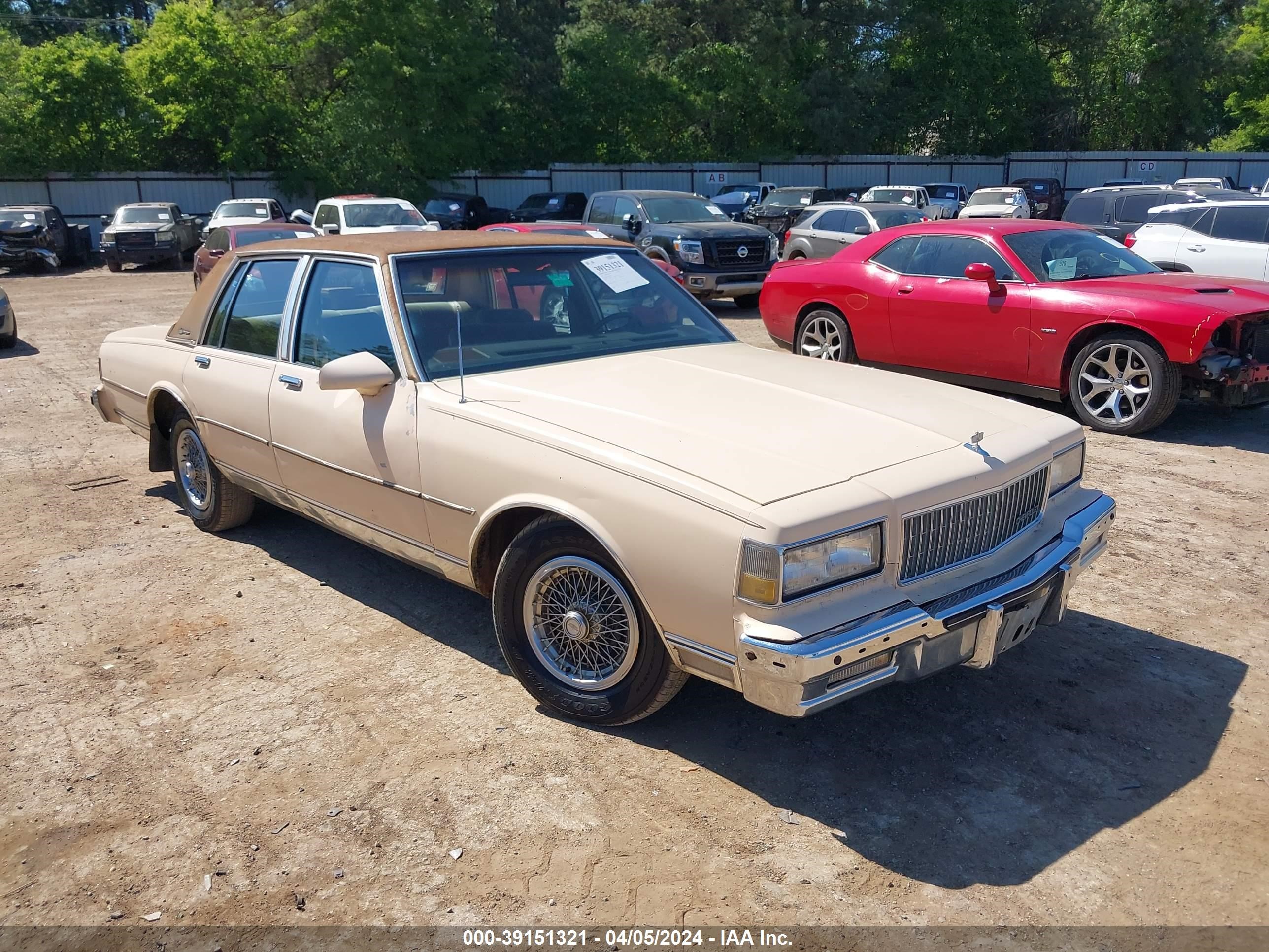 chevrolet caprice 1989 1g1bu51e8kr114291