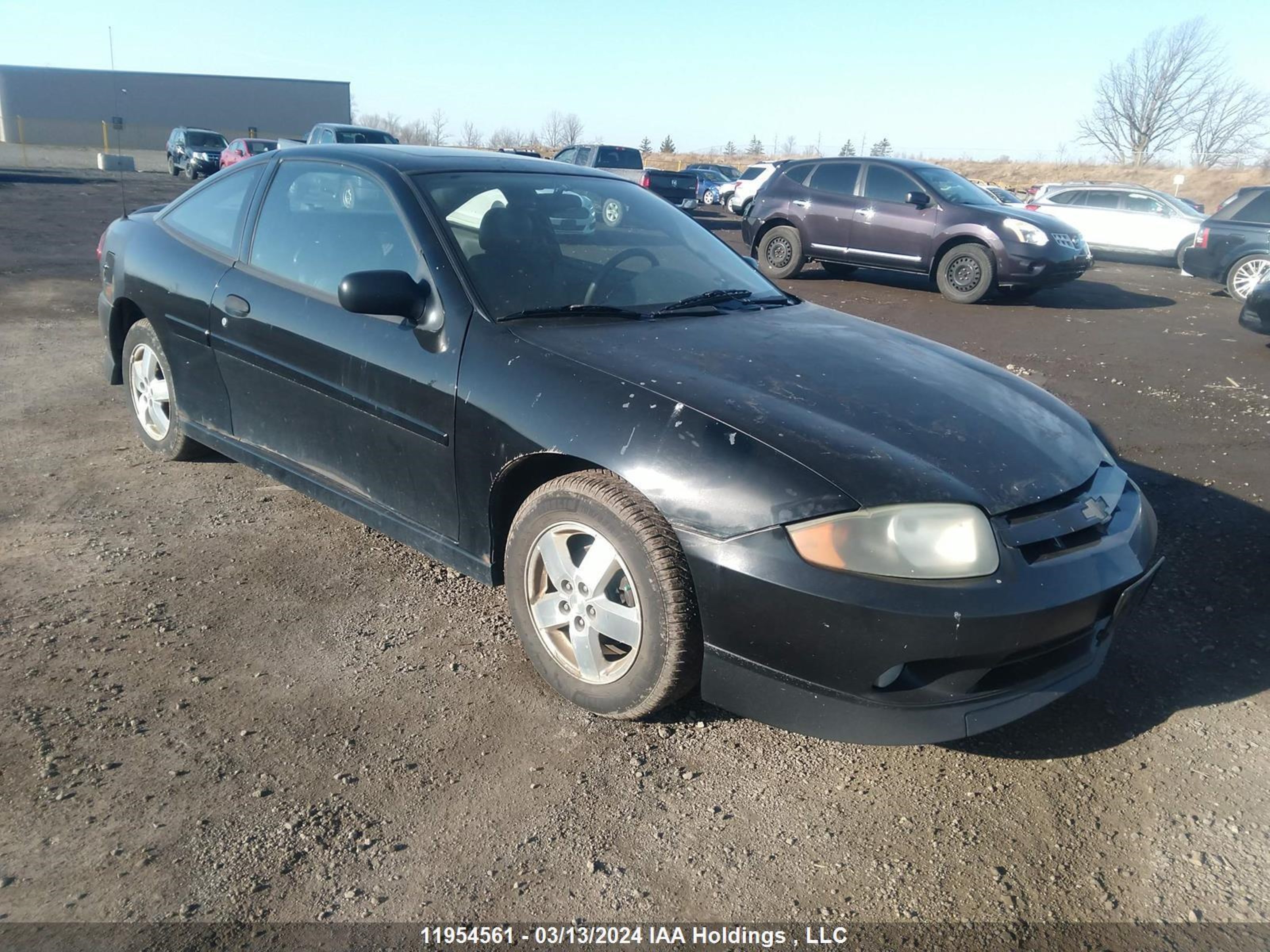 chevrolet cavalier 2004 1g1jc12f847338853