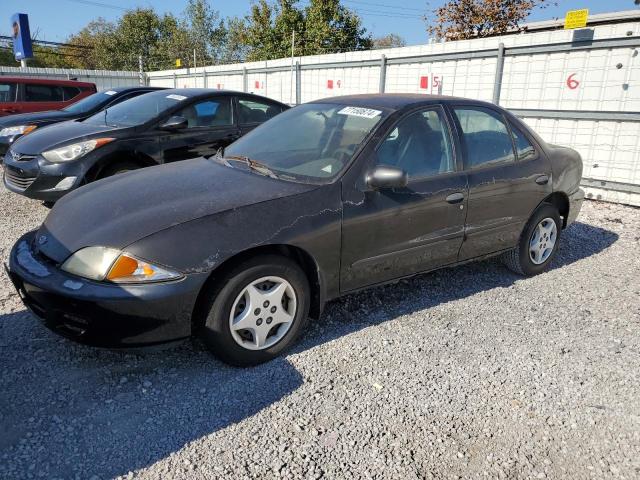 chevrolet cavalier b 2002 1g1jc524127154423