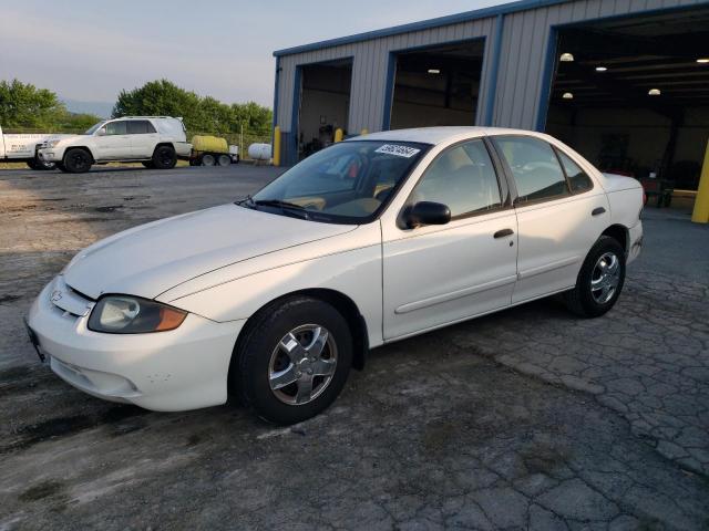 chevrolet cavalier 2003 1g1jc52f837247765