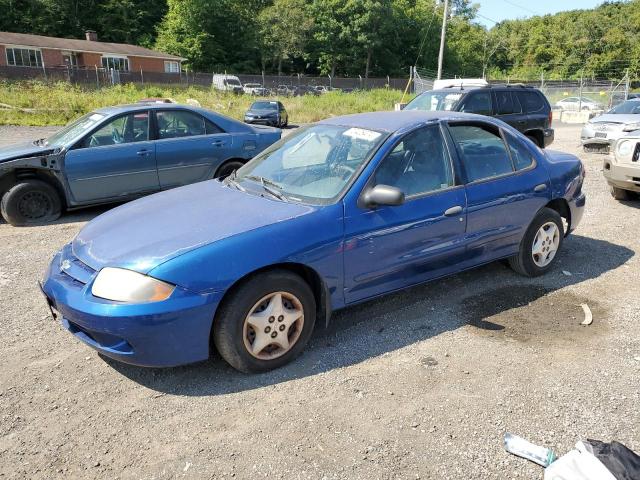 chevrolet cavalier 2004 1g1jc52f847373030