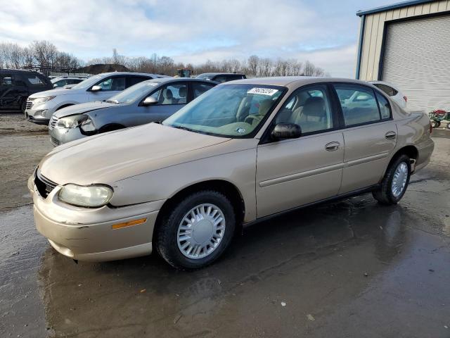 chevrolet malibu 2001 1g1nd52j216128020