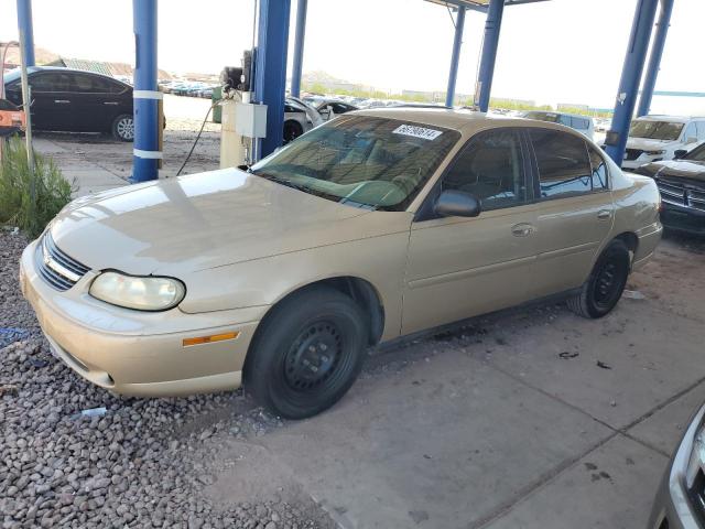 chevrolet malibu 2001 1g1nd52j316273096