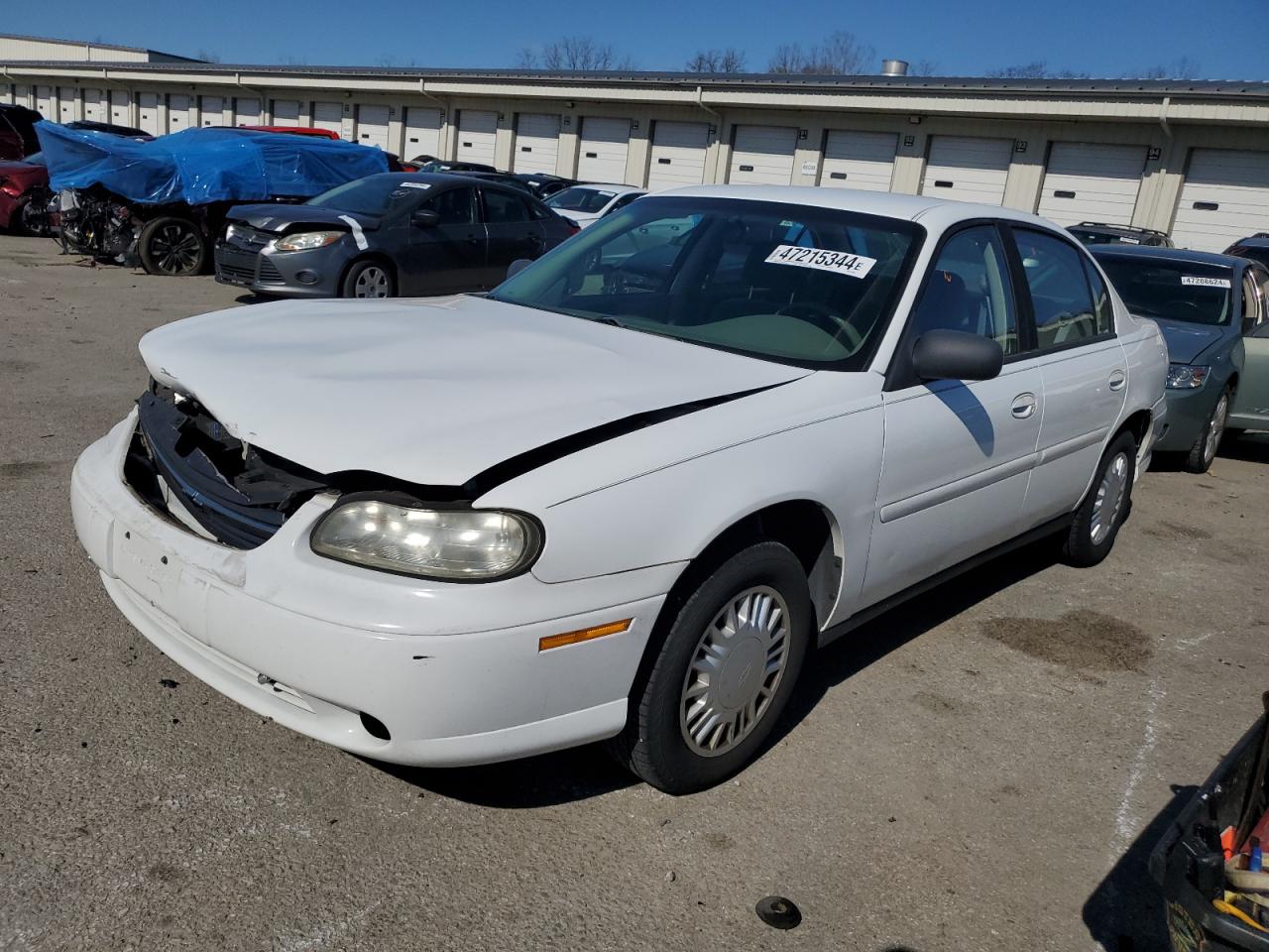 chevrolet malibu 2002 1g1nd52j62m557495