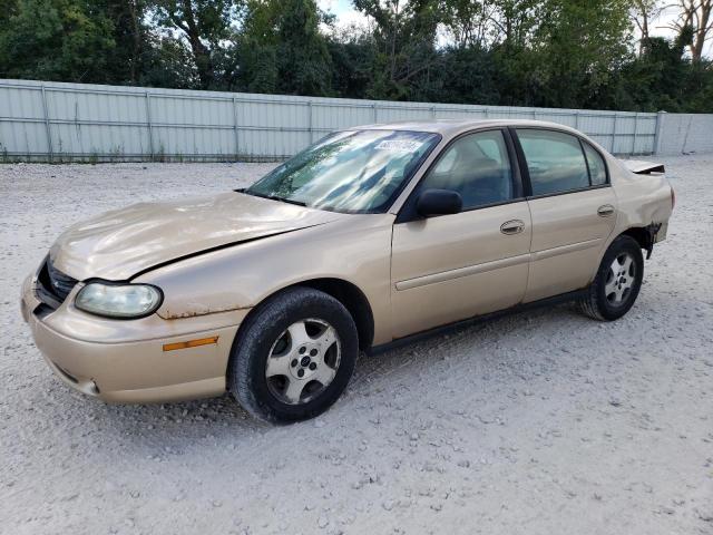 chevrolet malibu 2003 1g1nd52j83m590189