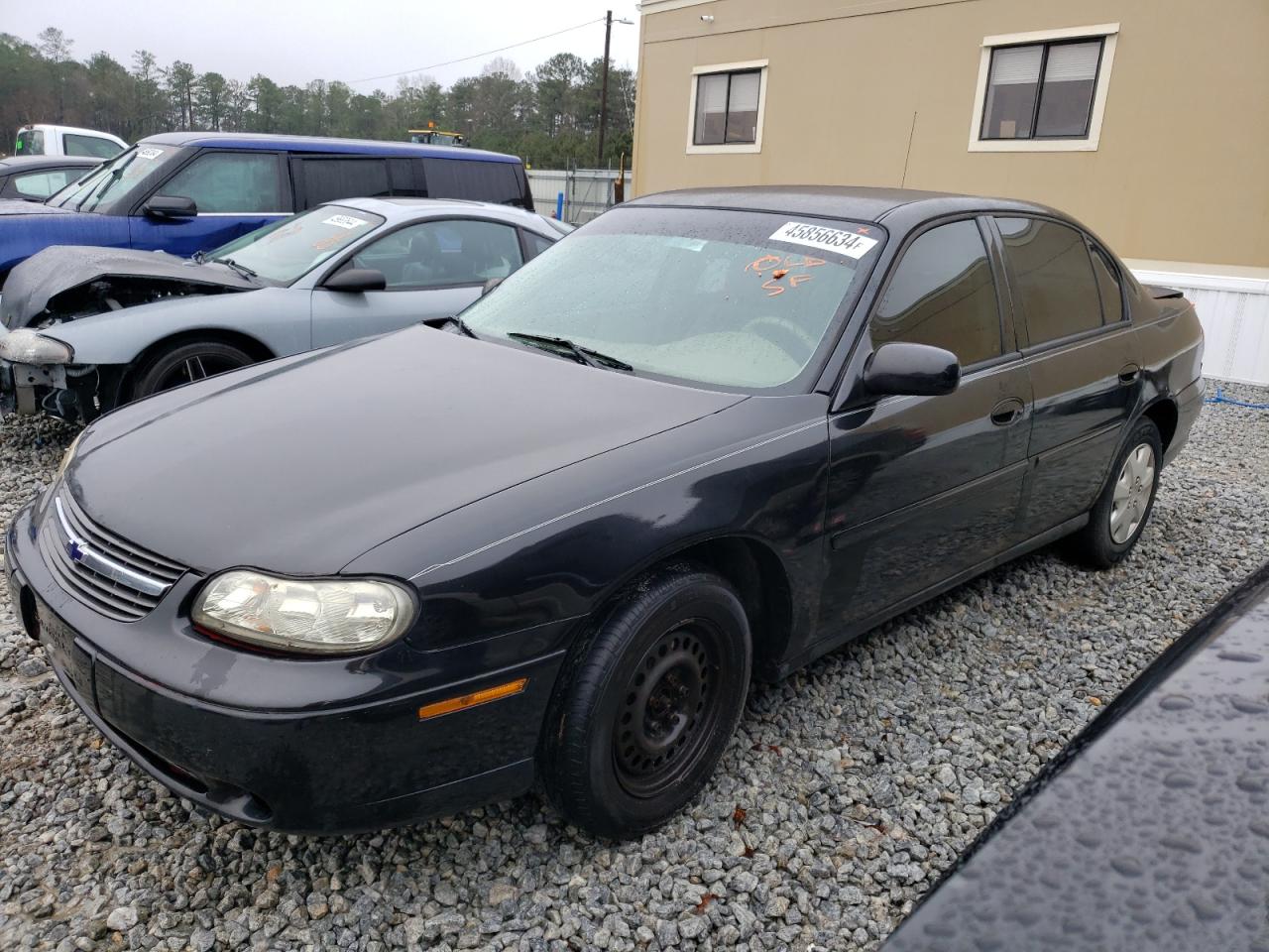 chevrolet malibu 2003 1g1nd52jx3m600298