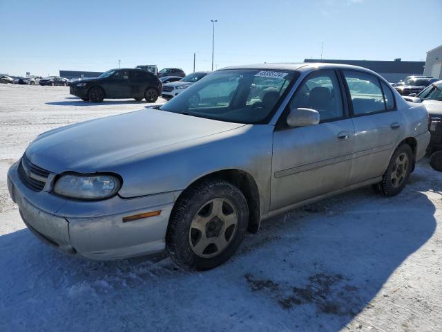 chevrolet malibu ls 2002 1g1ne52j32m581766