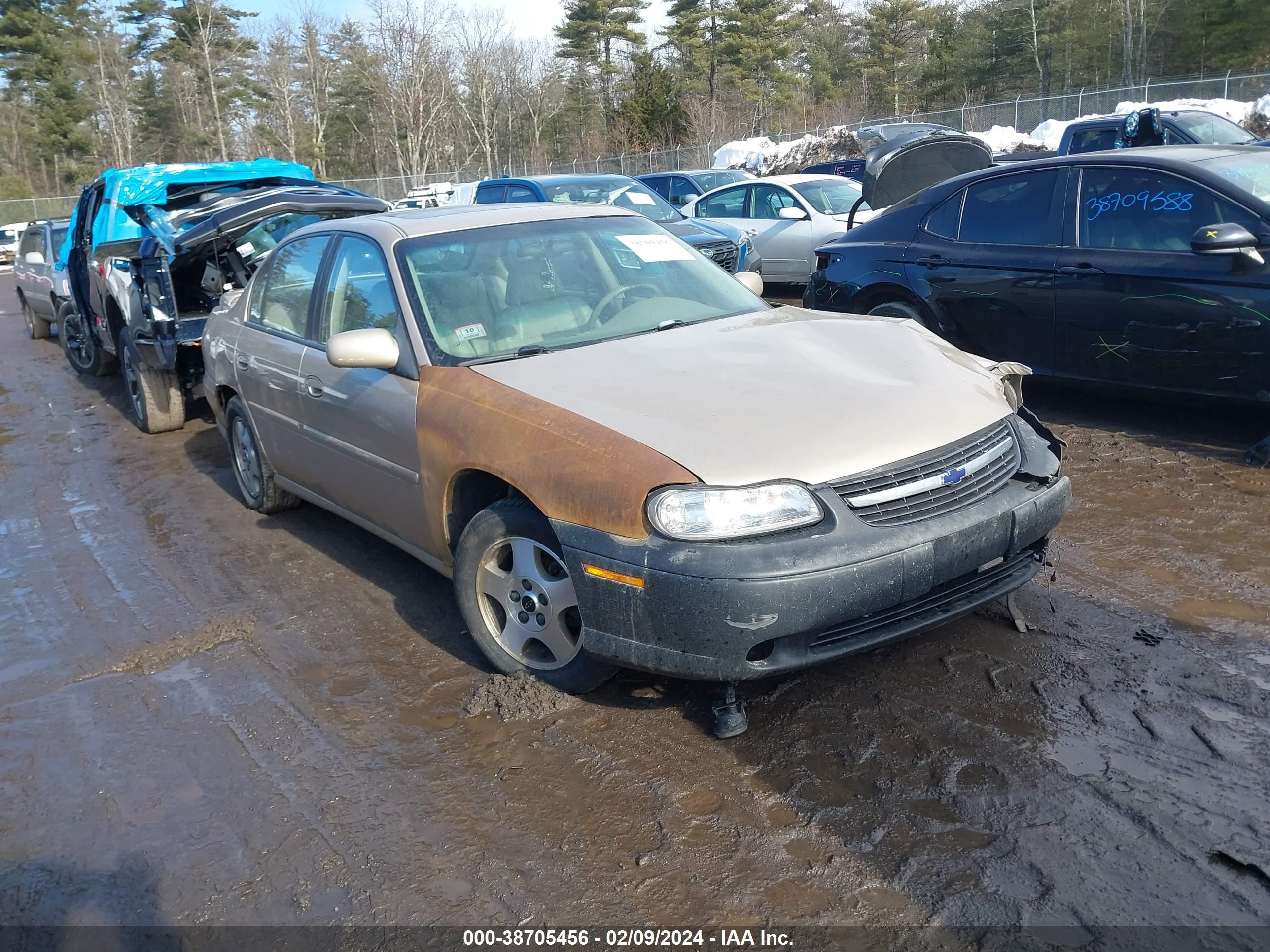 chevrolet malibu 2003 1g1ne52j33m628392