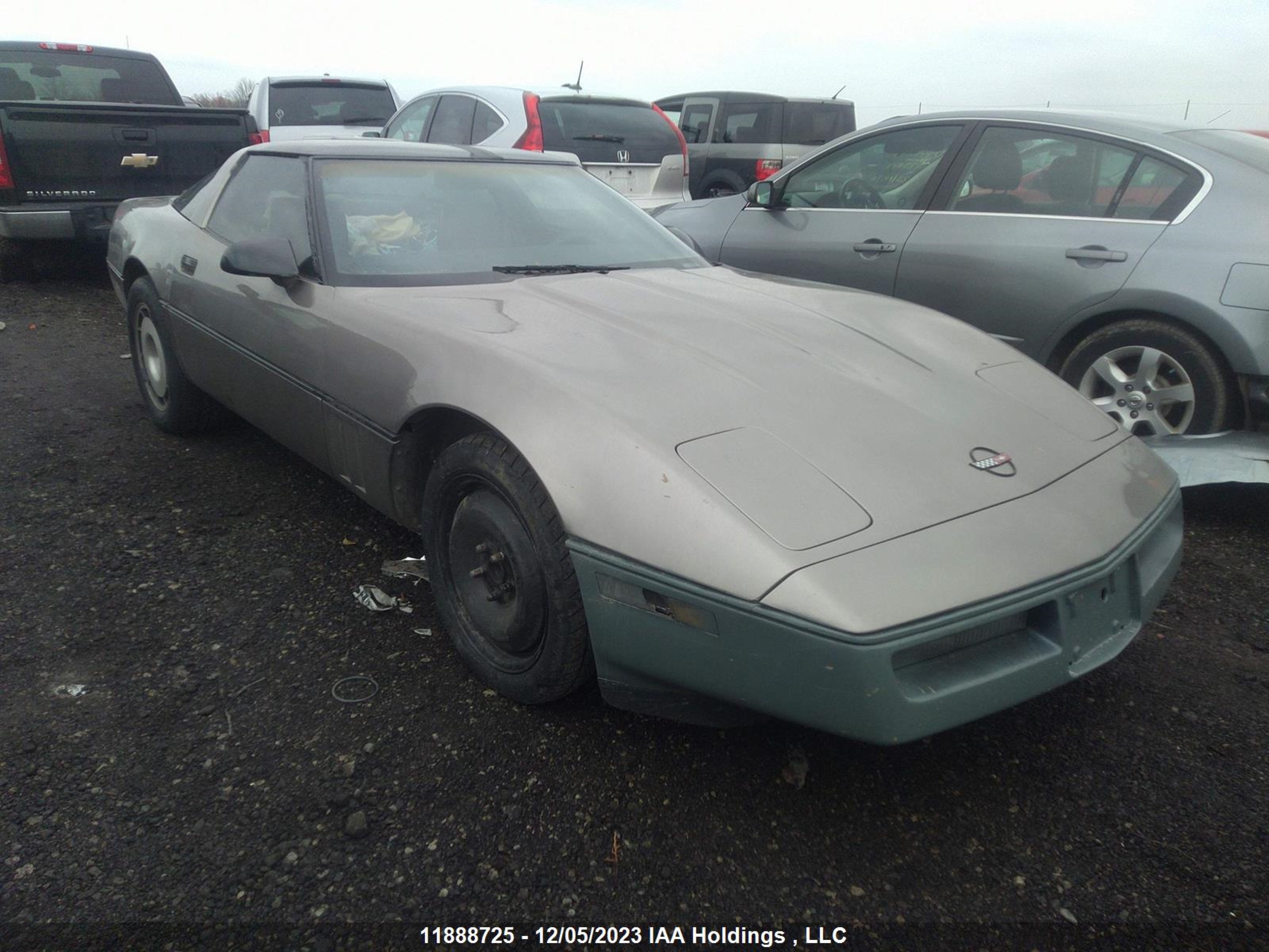 chevrolet corvette 1988 1g1yy2185j5102841