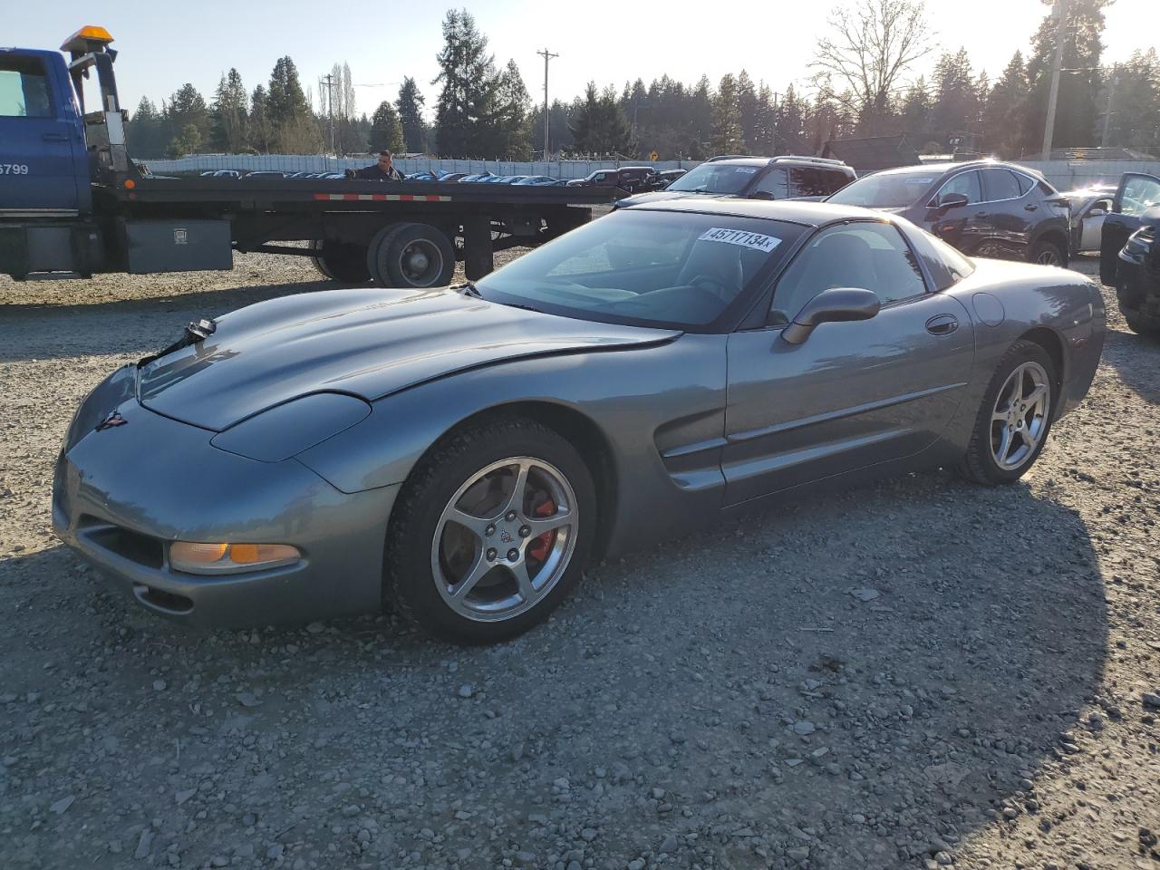 chevrolet corvette 2004 1g1yy22g945119071