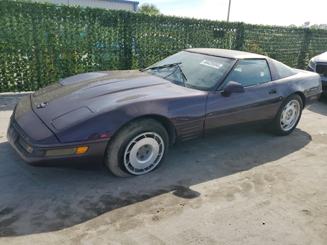 chevrolet corvette 1993 1g1yy23p4p5104139