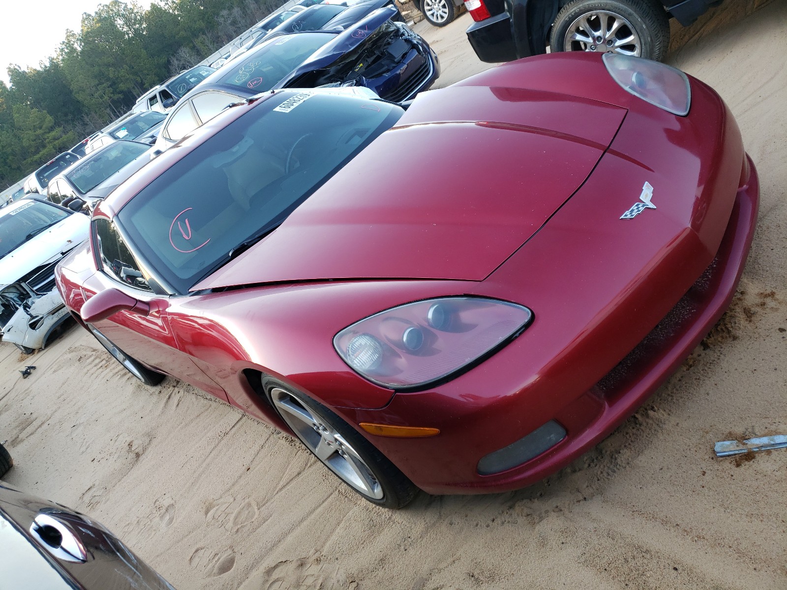 chevrolet corvette 2005 1g1yy24u355108037