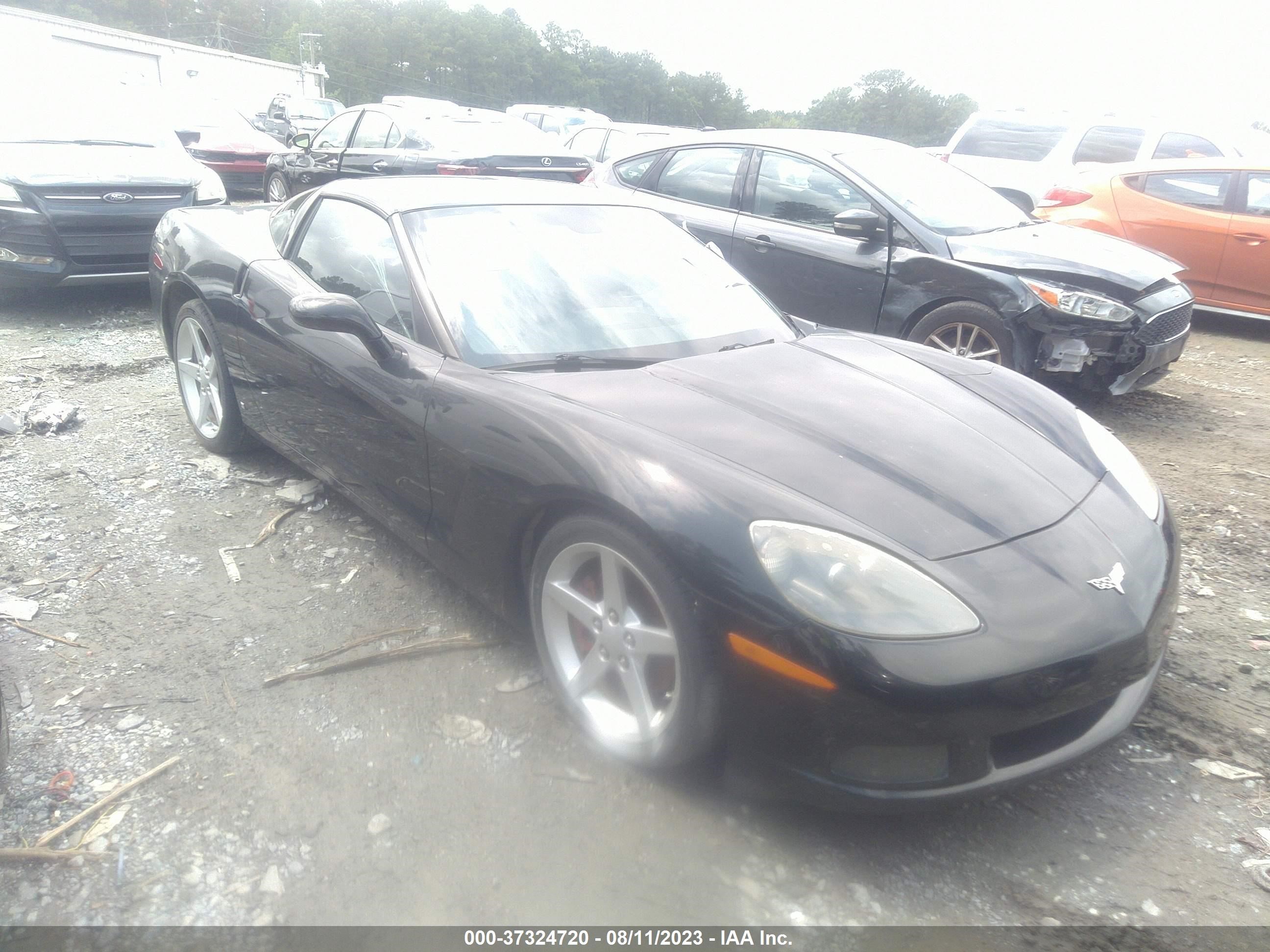 chevrolet corvette 2006 1g1yy25u765131966