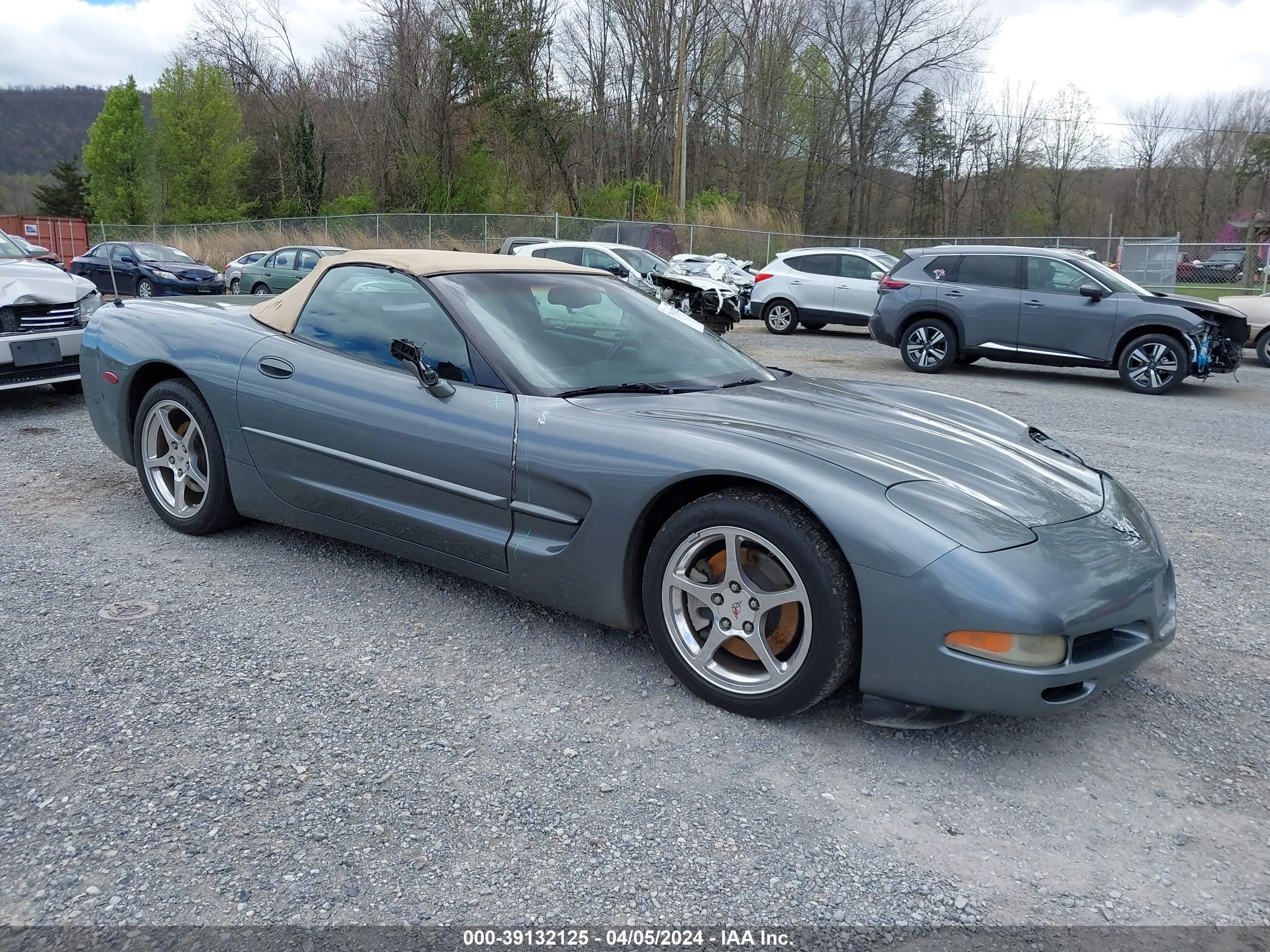 chevrolet corvette 2003 1g1yy32g035119318