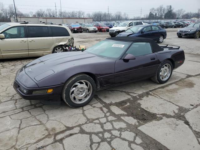 chevrolet corvette 1993 1g1yy33p1p5100250