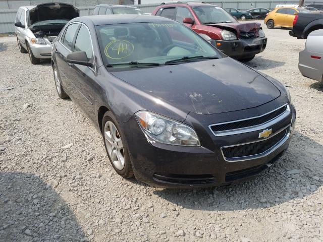 chevrolet malibu ls 2012 1g1za5e04cf379010