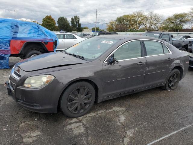 chevrolet malibu ls 2010 1g1za5e09a4129142