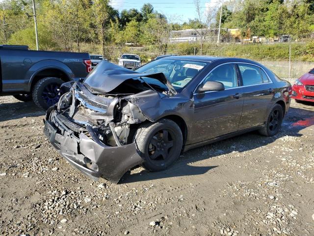 chevrolet malibu ls 2010 1g1za5eb1af215891