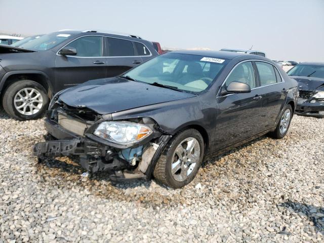 chevrolet malibu ls 2012 1g1za5eu5cf393324