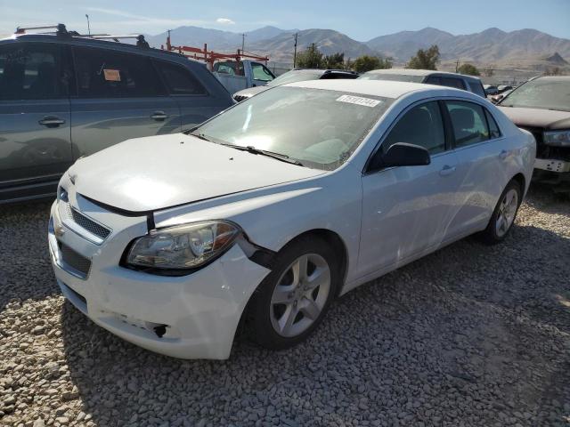 chevrolet malibu ls 2012 1g1za5eu9cf294179