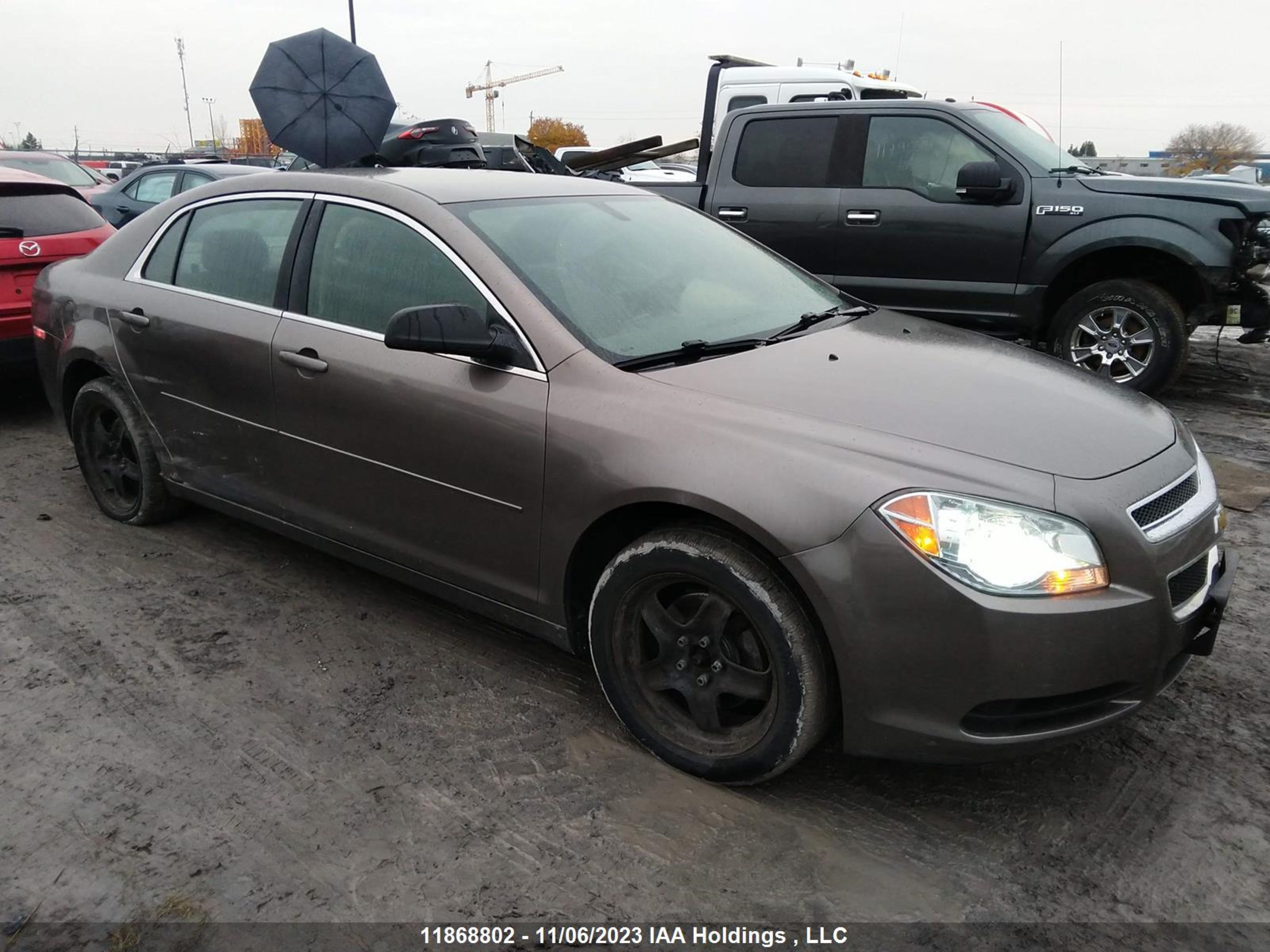 chevrolet malibu 2010 1g1zb5e06af202291