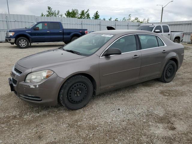 chevrolet malibu 2010 1g1zb5e08af197398