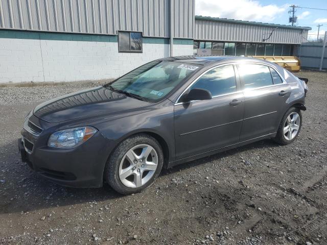 chevrolet malibu ls 2012 1g1zb5e09cf256042