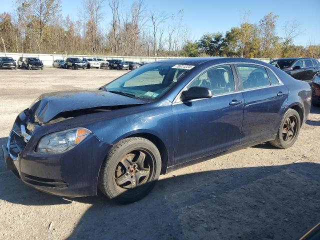 chevrolet malibu ls 2011 1g1zb5e12bf309607