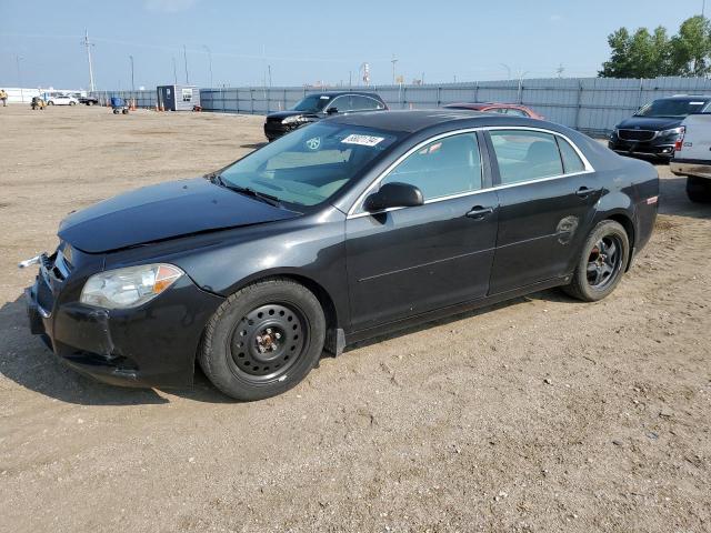 chevrolet malibu ls 2011 1g1zb5e13bf210181