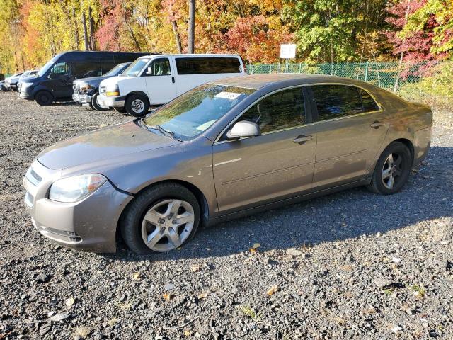 chevrolet malibu ls 2011 1g1zb5e15bf111359