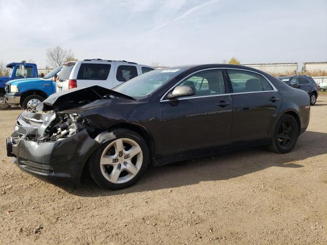 chevrolet malibu ls 2011 1g1zb5e15bf239522