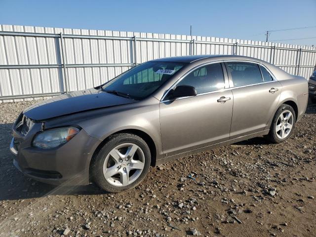 chevrolet malibu ls 2010 1g1zb5eb2a4121947