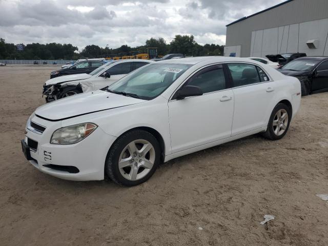 chevrolet malibu ls 2010 1g1zb5eb3a4143228