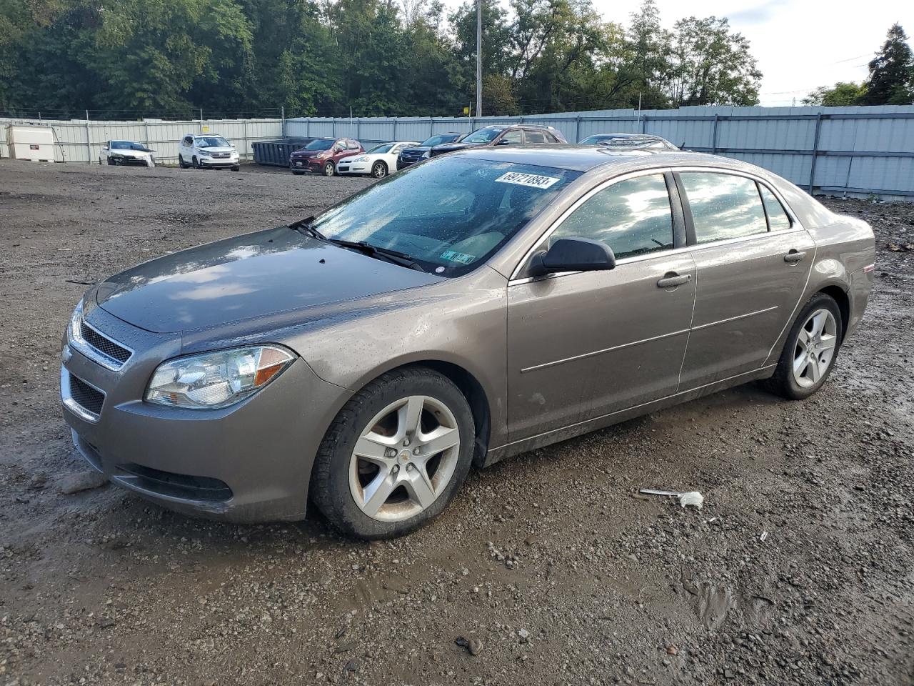 chevrolet malibu 2010 1g1zb5eb3af133142