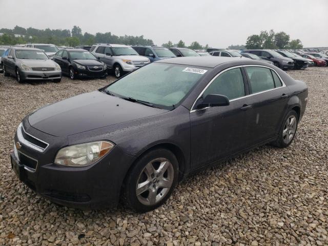 chevrolet malibu 2010 1g1zb5eb9af220283