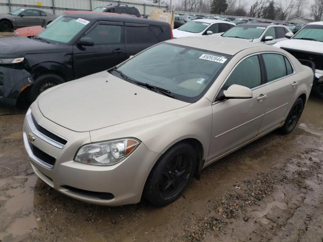 chevrolet malibu ls 2011 1g1zb5euxbf137336