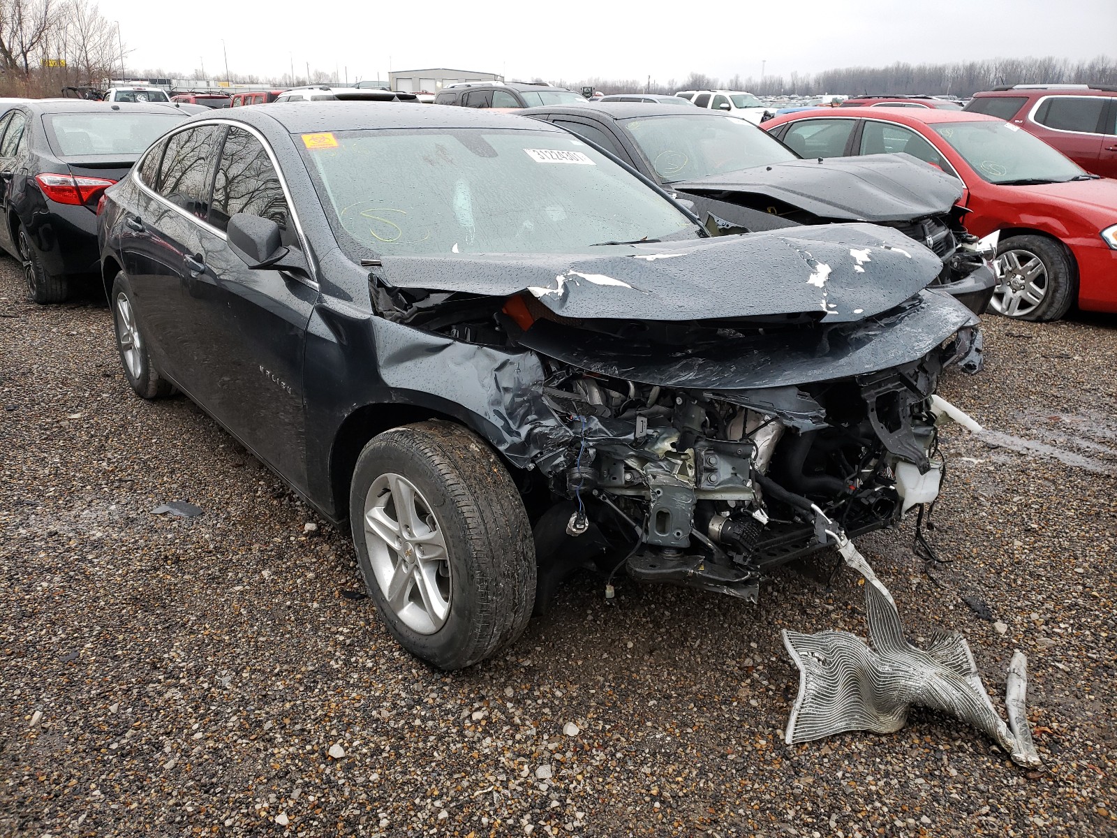 chevrolet malibu ls 2019 1g1zb5st0kf149202