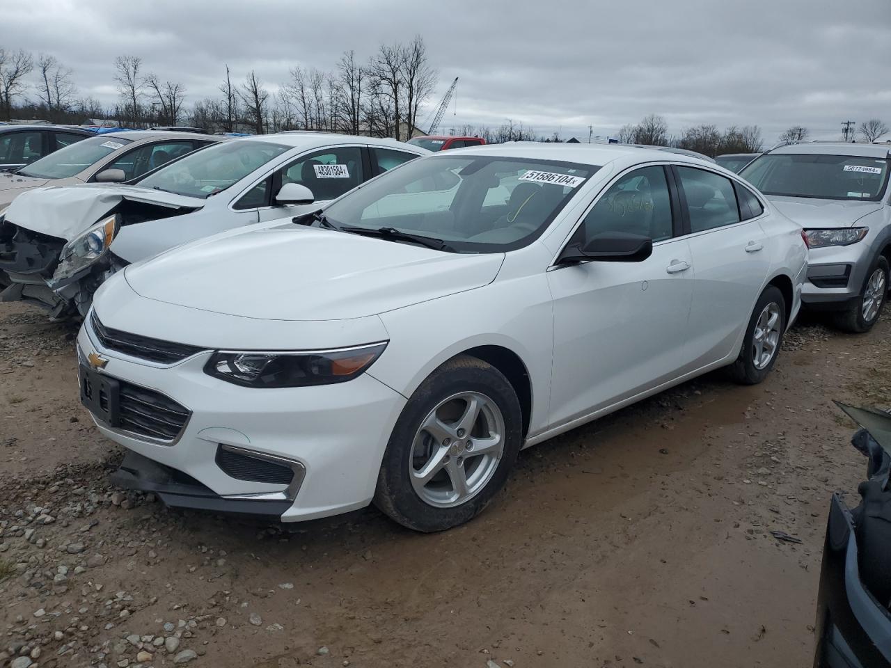 chevrolet malibu 2018 1g1zb5st5jf230193