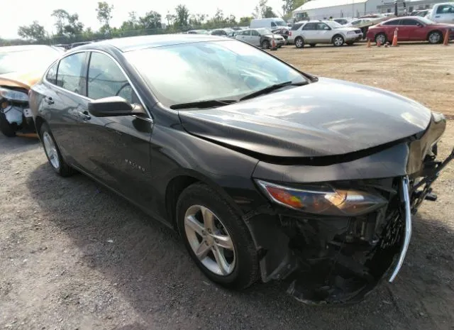 chevrolet malibu 2019 1g1zb5st5kf203691